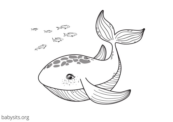 Calming ocean animal coloring for students printable