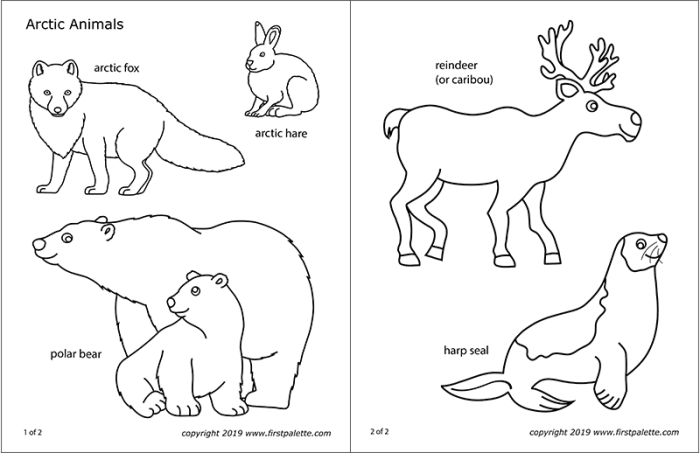 Coloring arctic pages animals printable kids popular