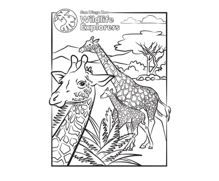 Coloring pages animals giraffe