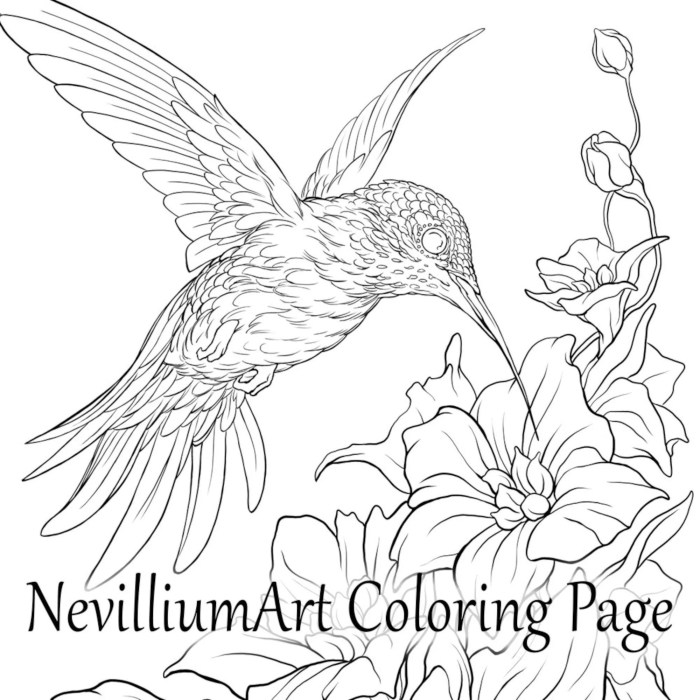 Food coloring for hummingbirds