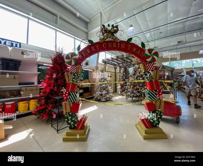 Ace hardware christmas decor