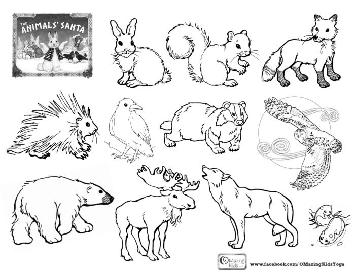 Free printable arctic animals coloring pages